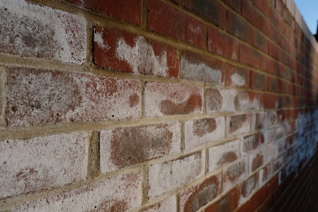 Efflorescence (salts appearing on the surface of masonry) on a brick wall, affecting its appearance