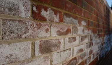Efflorescence (salts appearing on the surface of masonry) on a brick wall, affecting its appearance