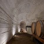 winery nesetril ora boysplaynice 22