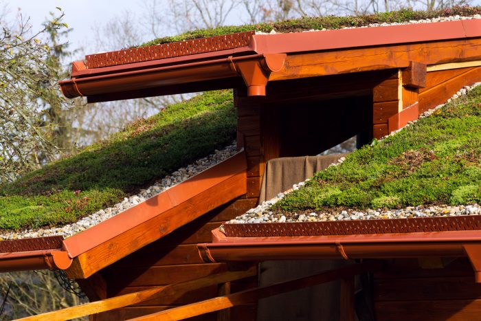 vegetačná strecha domu