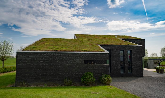 zelená strecha na modernom dome