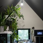 rd moravka heluz c jirihlousekphoto 3863